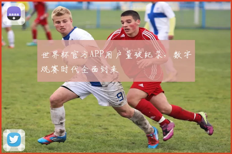 世界杯官方APP用户量破纪录,数字观赛时代全面到来