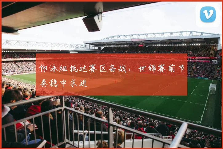 仰泳组抵达赛区备战，世锦赛前节奏稳中求进 - 2026世界杯