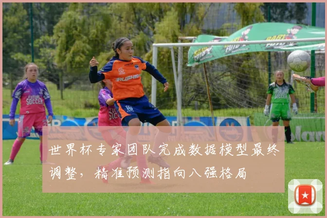 世界杯专家团队完成数据模型最终调整，精准预测指向八强格局 - 2026世界杯