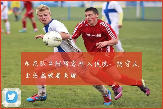 印尼队年轻阵容渐入佳境，防守反击或成破局关键 - 2026世界杯