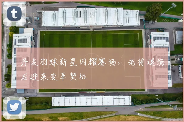丹麦羽球新星闪耀赛场，老将退场后迎来变革契机 - 2026世界杯